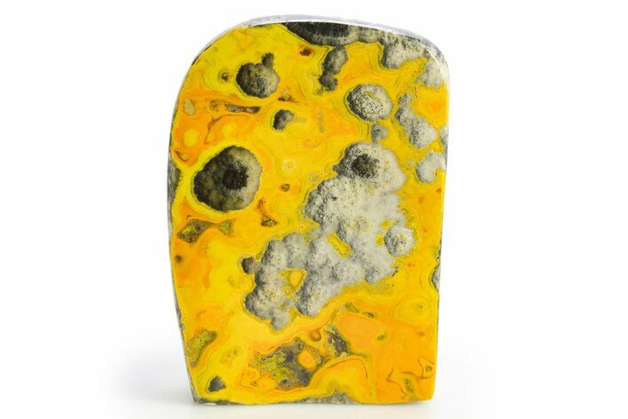 Very Vibrant, Free-Standing Polished Bumblebee Jasper #312063